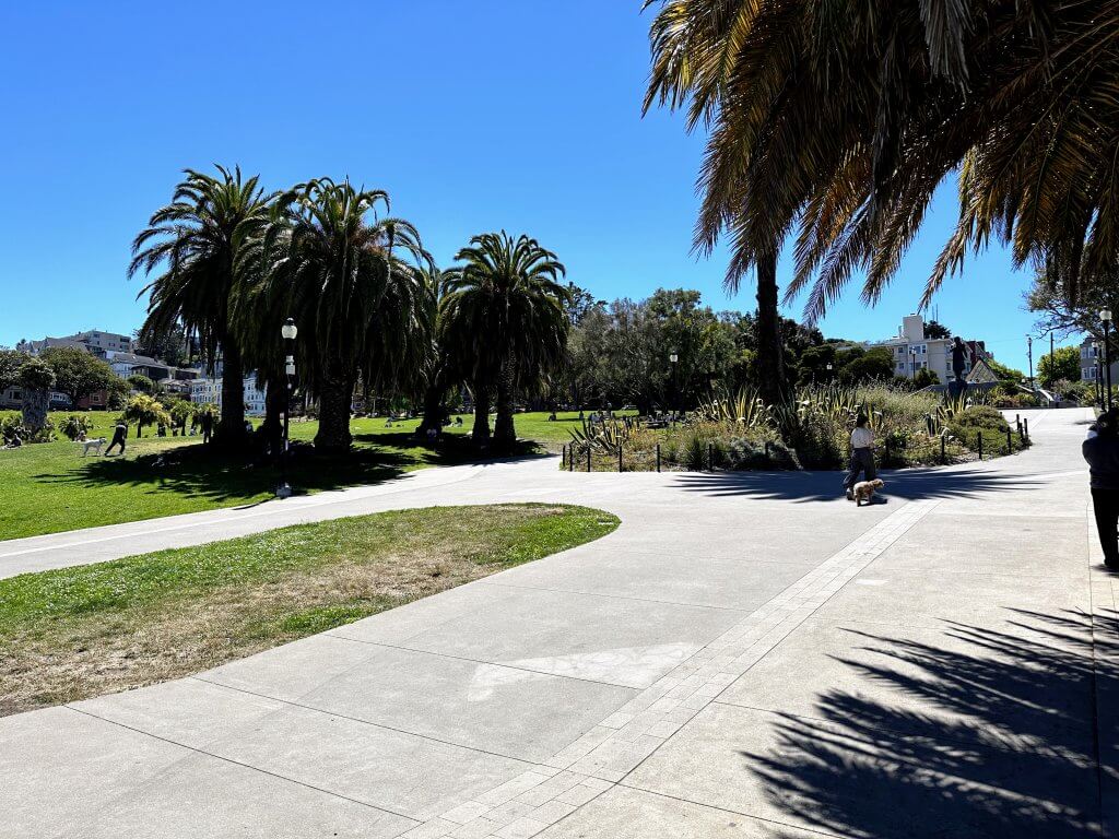 Dolores Park 1