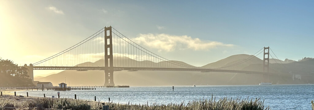 Golden Gate bridge frog sunset Golden Gate bridge frog sunset