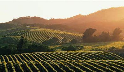 Sonoma valley